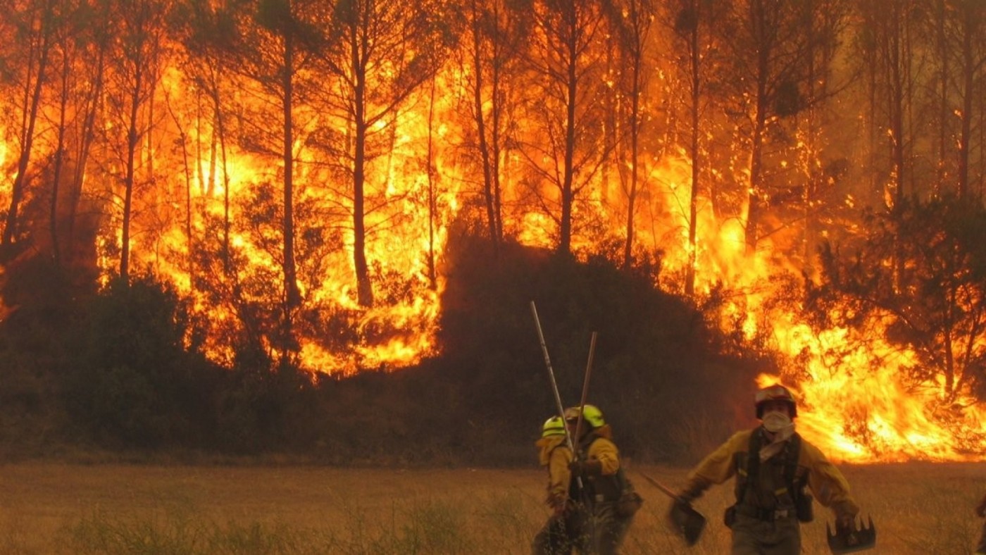 Más de 30 incendios forestales permanecen activos en nuestro país