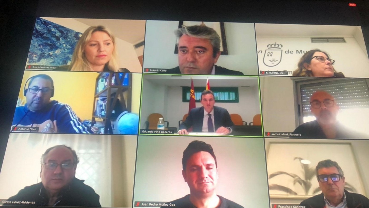 Reunión telemática del Consejo Asesor Regional de Industria de la Región de Murcia.