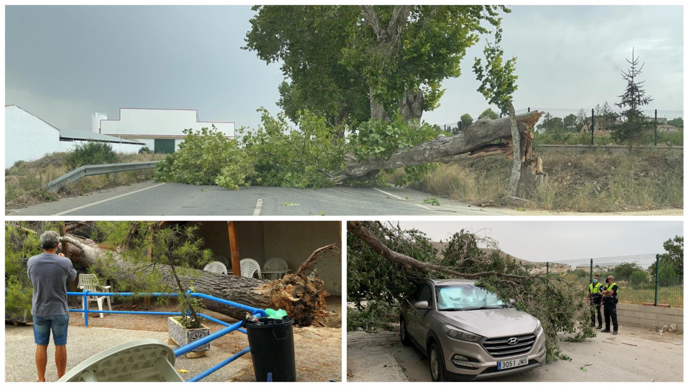 Las tormentas derribaron árboles en la RM-730 (arriba), piscina de Abarán (izda.) y en Cieza (dcha.). Fotos: ES y CC