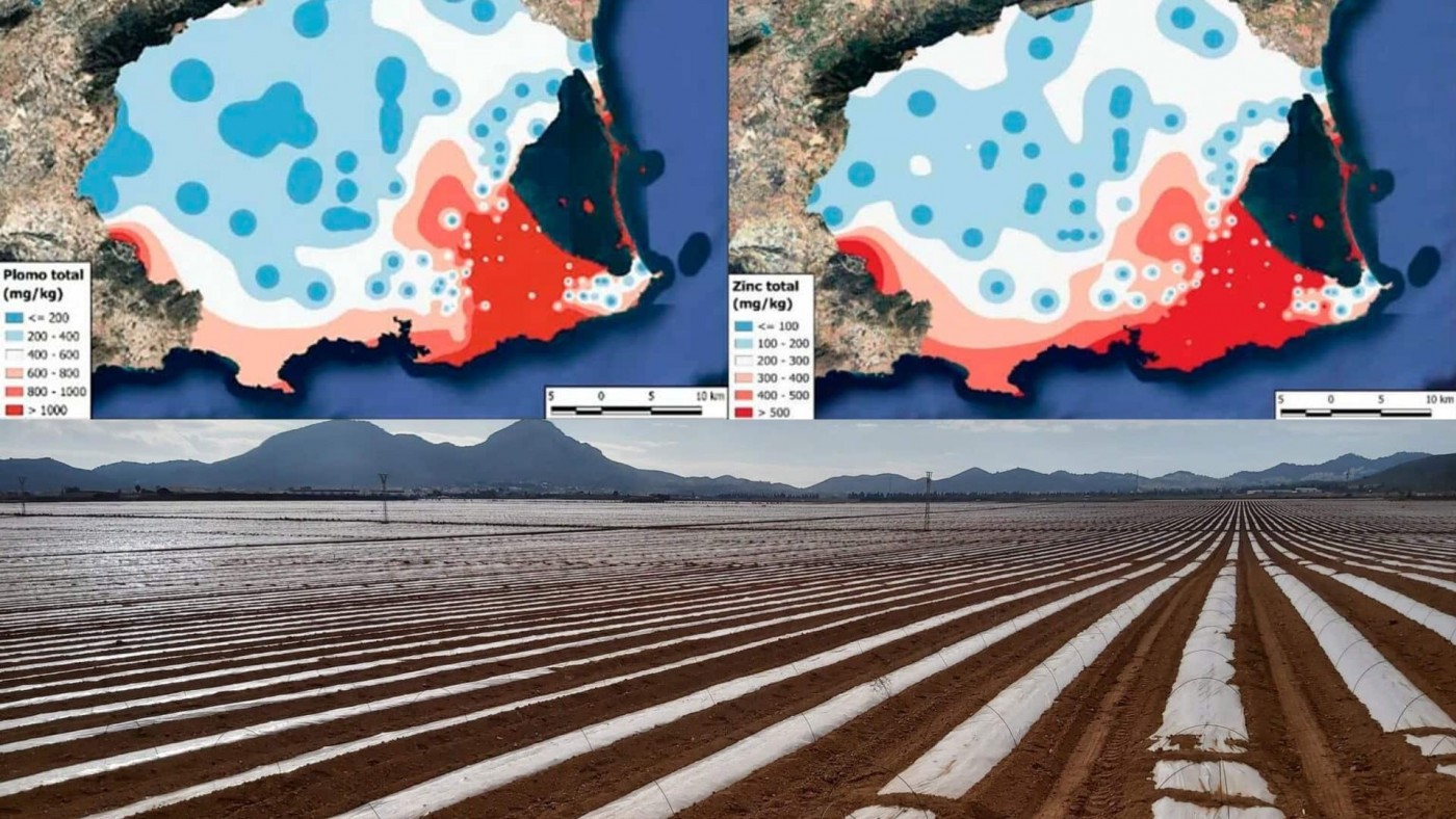 Alertan de la posible contaminación por metales en terrenos agrícolas de Cartagena