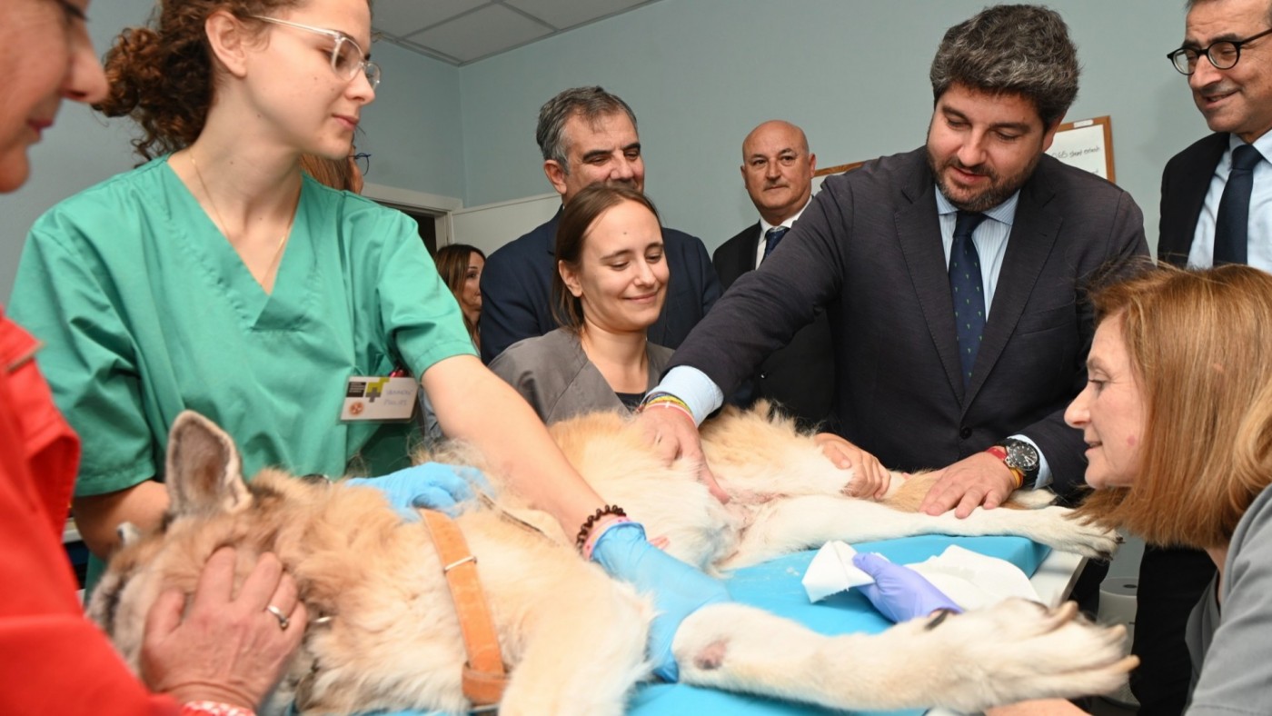 El hospital Veterinario de la UMU forma a 3.000 veterinarios en 25 años