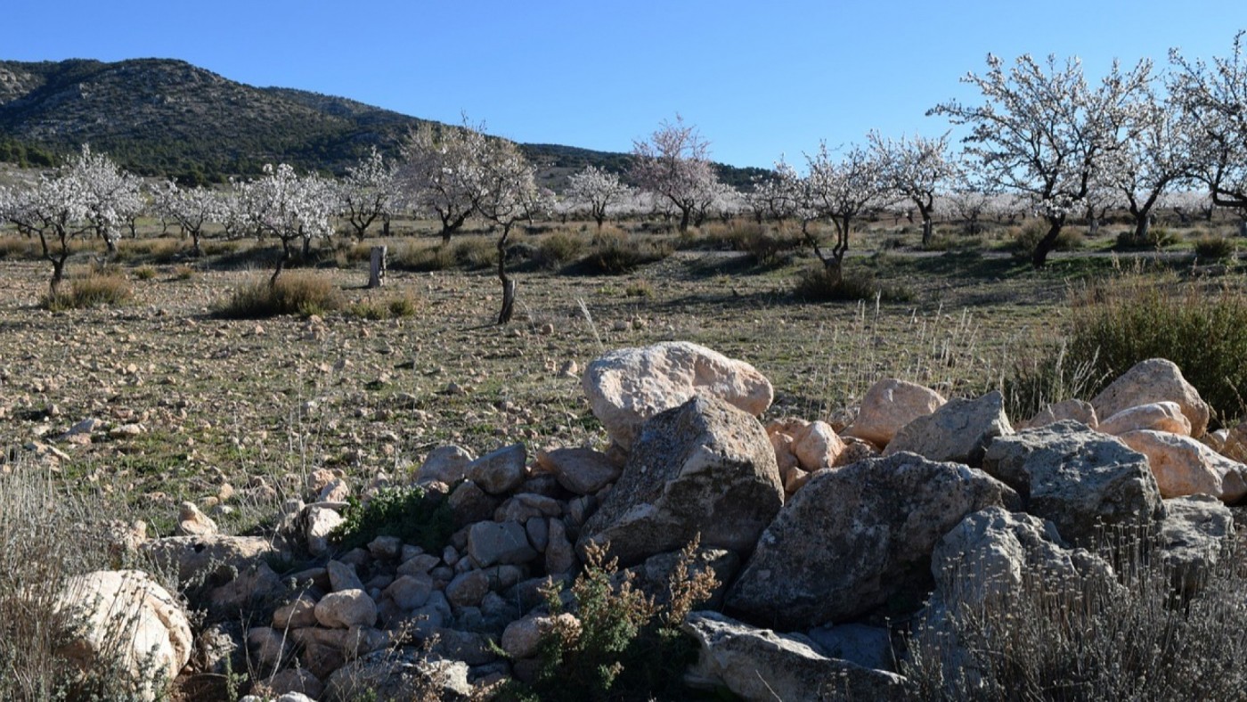 Agricultores del Noroeste piden a Vox que apoye los presupuestos