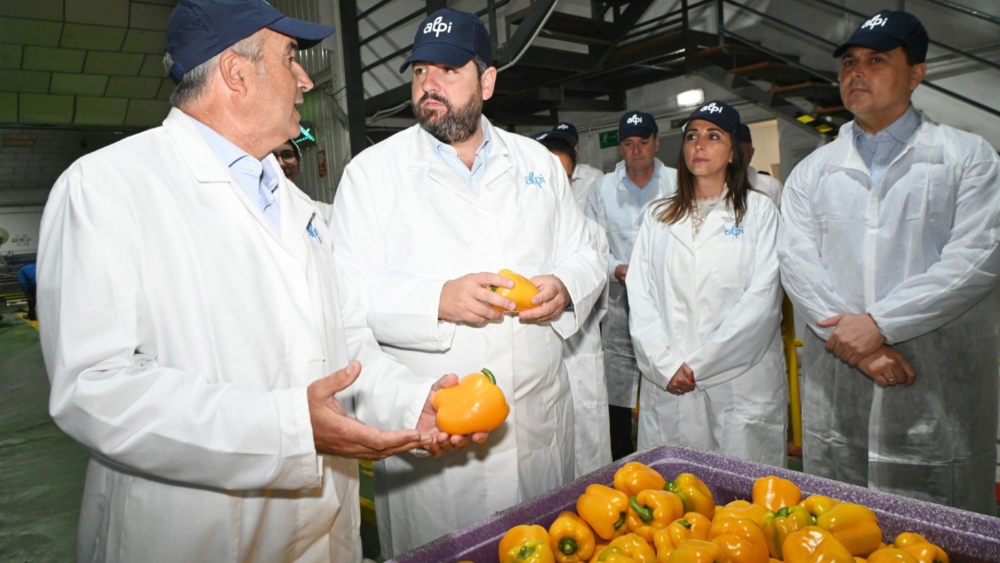 90 millones de euros de fondos europeos para las organizaciones de productores de frutas y hortalizas este 2025
