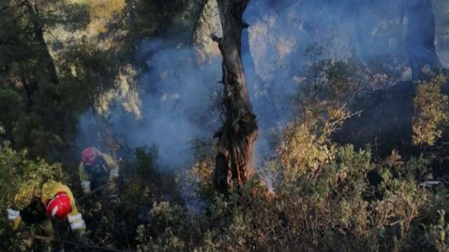 Estabilizado un incendio forestal originado en la sierra del Burete de Cehegín 