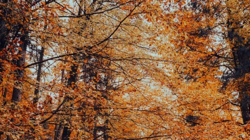 La AEMET prevé un otoño más cálido de lo habitual