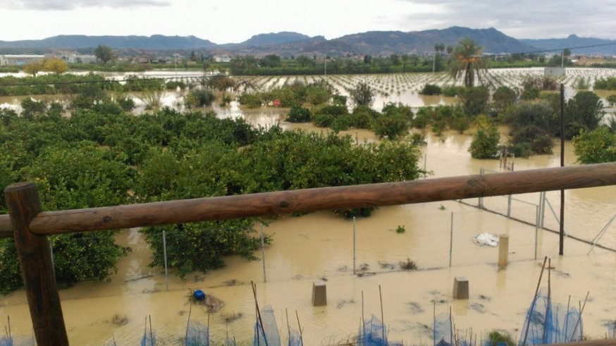 Huerta de Alquerías inundada por la Rambla de Tabala en septiembre