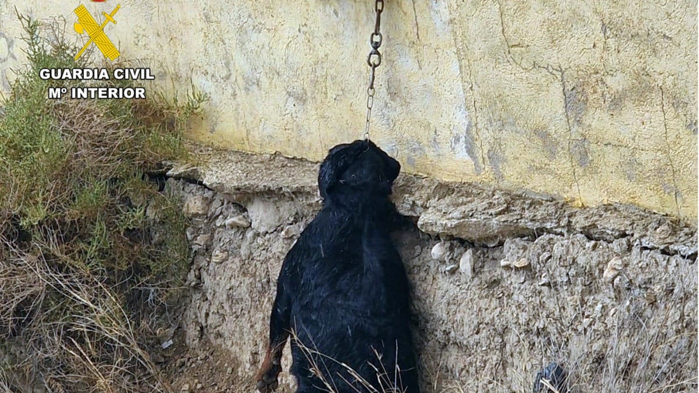 Investigan a un criador de Cieza por graves irregularidades en un núcleo zoológico