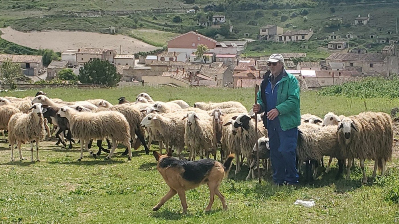 La Región de Murcia agiliza el pago de 29,6 millones en ayudas agroambientales a más de 6.100 agricultores