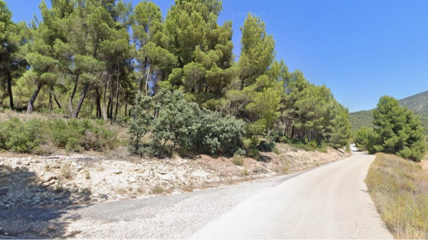 Fallece un trabajador forestal tras caerle un árbol en un monte de Cehegín