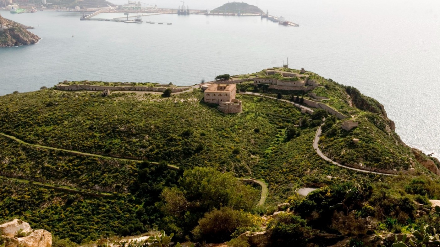 Replantan con especies autóctonas en el entorno de Fajardo en Cartagena