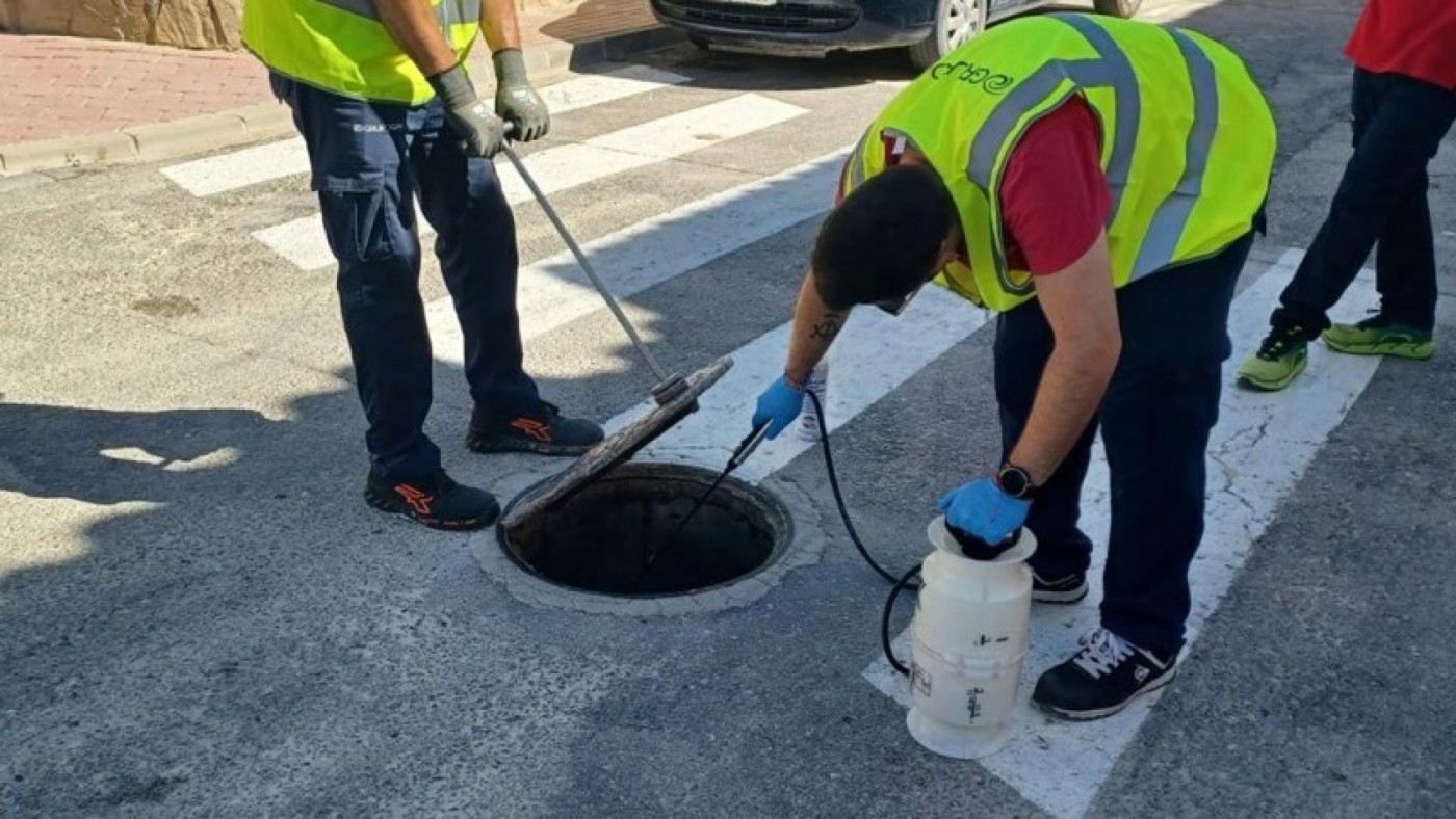 Comienza en Mula una campaña de desinfección del alcantarillado en respuesta a la aparición de una nueva plaga de cucarachas