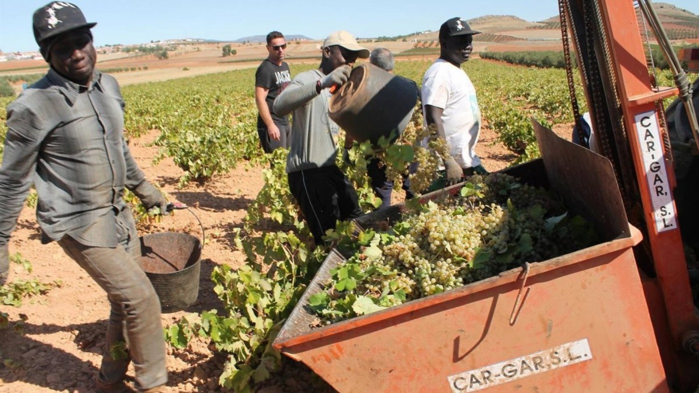 La regularización, una oportunidad para la falta de mano de obra en el campo