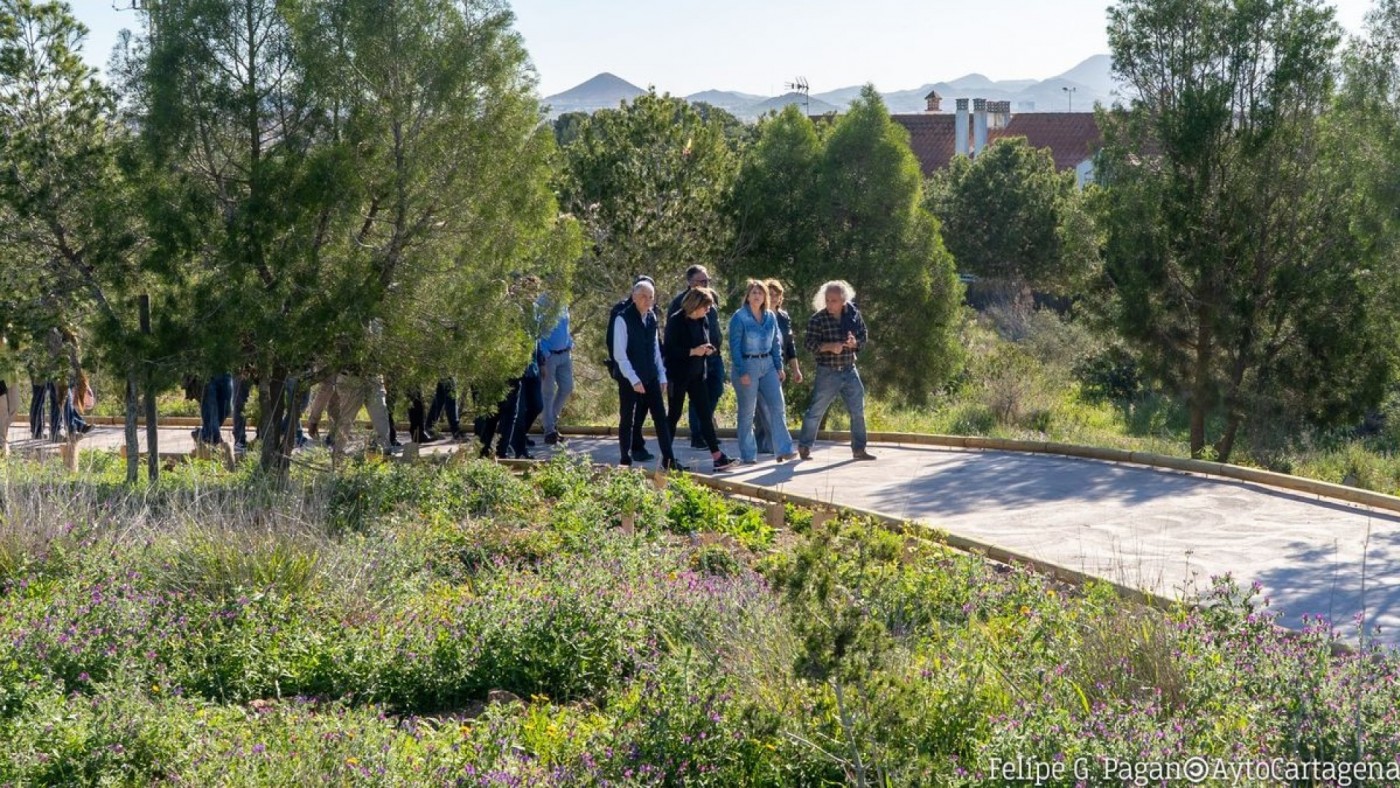 Jornada de limpieza en Bosque Romano de Cartagena