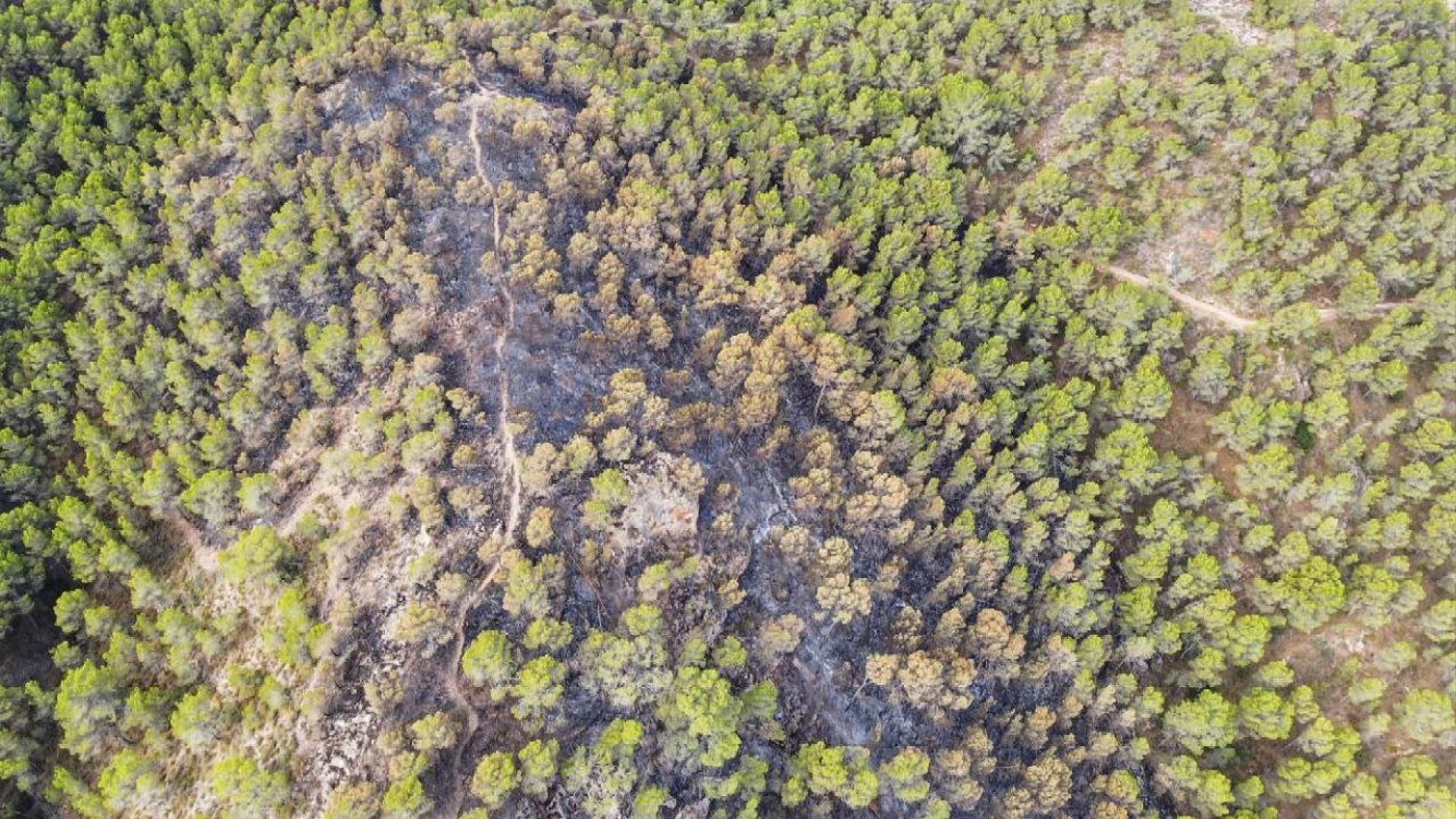 El incendio del Valle de Murcia fue intencionado