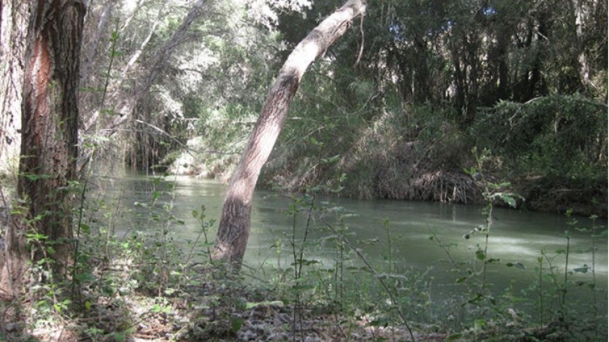 Decenas de voluntarios realizan un maratón de biodiversidad en Calasparra