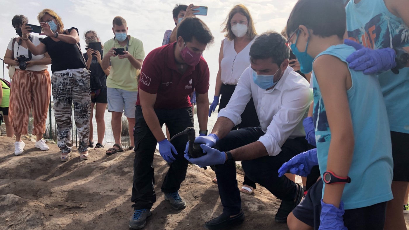 El consejero de Medio Ambiente, Antonio Luengo, liberando a los dos ejemplares.