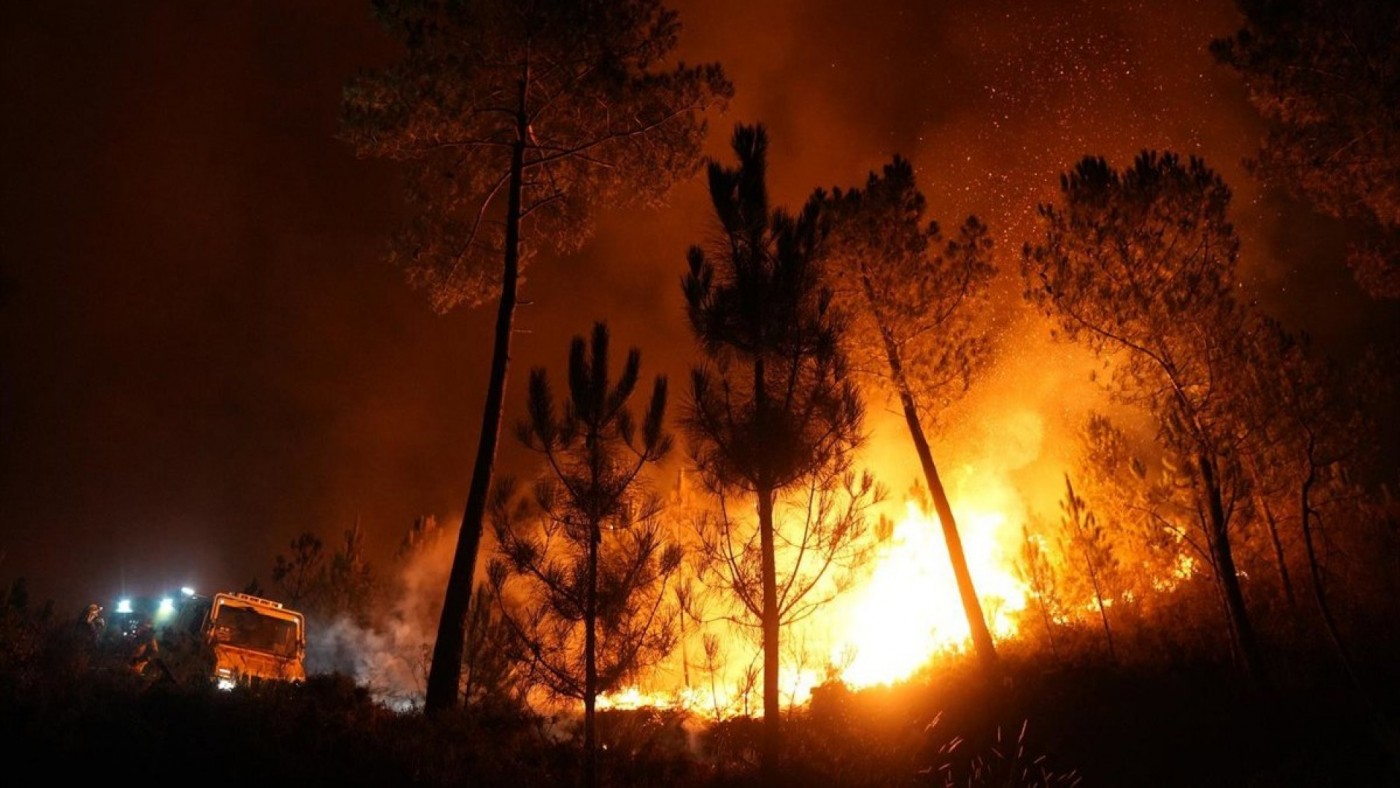 Los ingenieros de montes piden reforzar la prevención de incendios durante todo el año