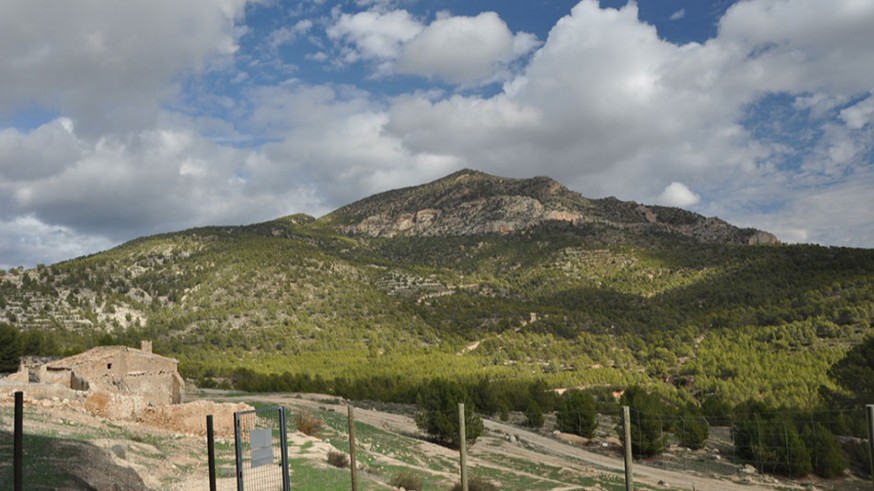 Imagen del pico de La Selva en la Sierra de Ponce 