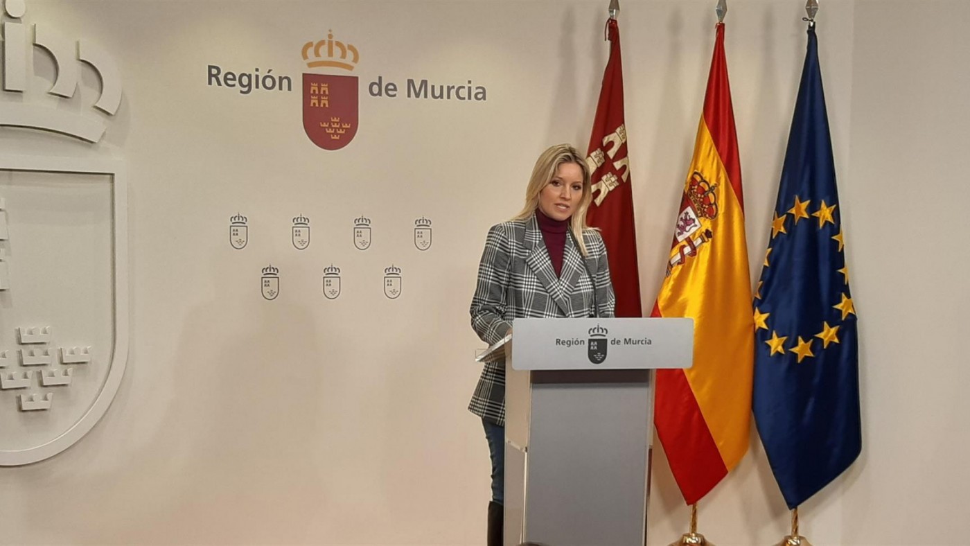 Martínez Vidal en la rueda de prensa del Consejo de Gobierno