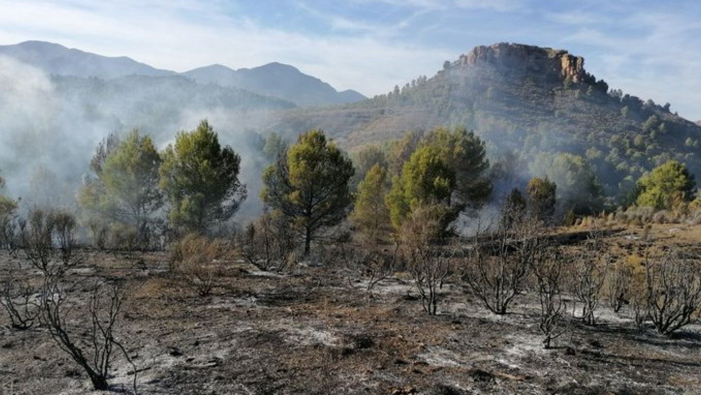 Paraje de 'El Cimbre' afectado por las llamas, en Lorca