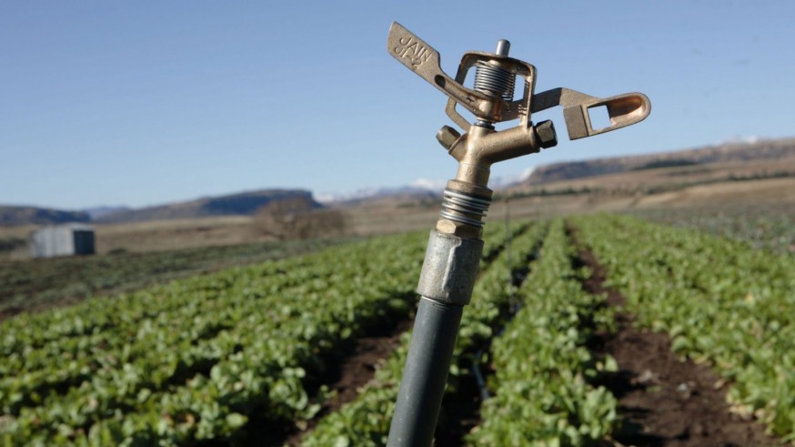 La huella hídrica de las exportaciones agrícolas duplica al consumo de los hogares españoles en 2024
