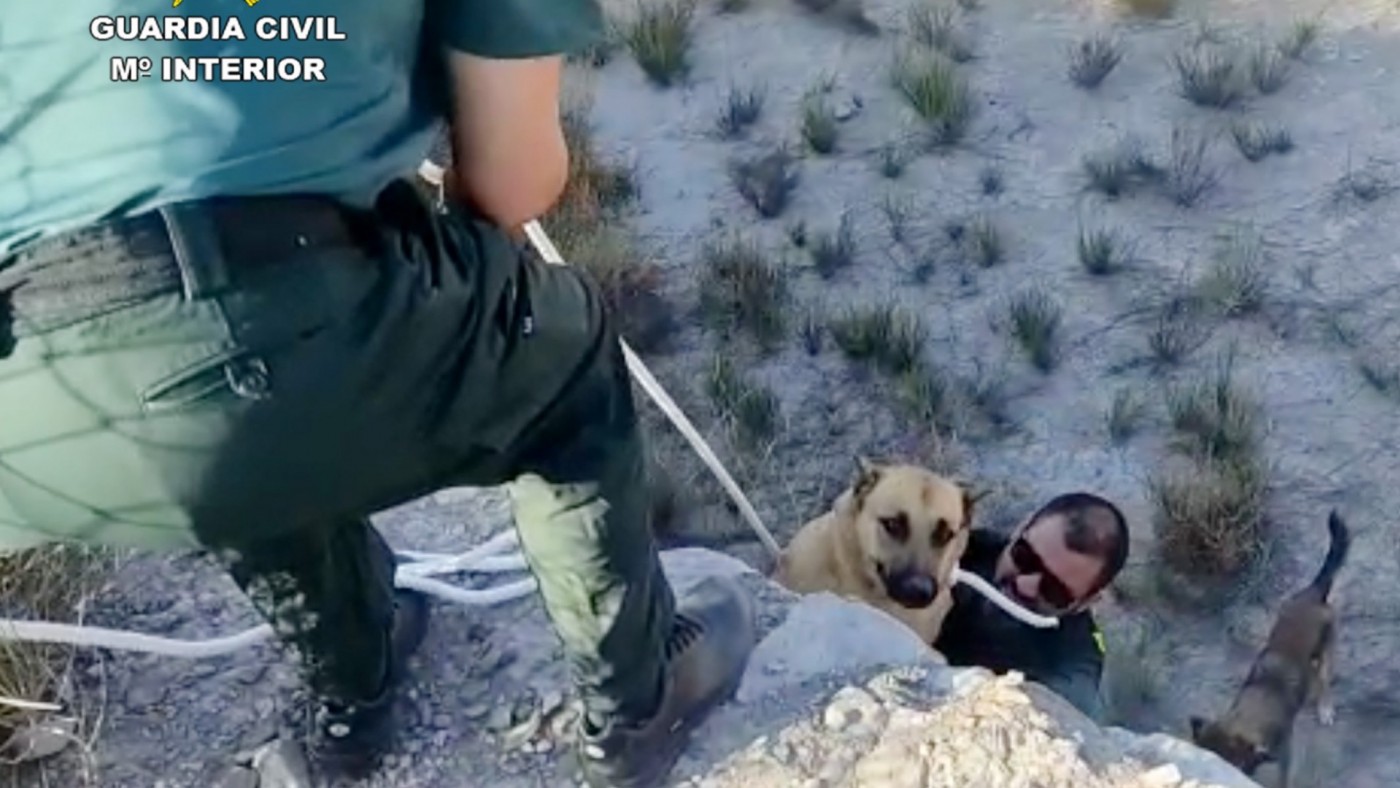 Rescatan a dos perros exhaustos y deshidratados de una balsa de riego abandonada en Lorca