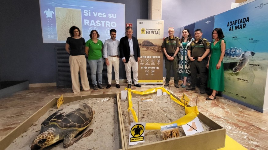 El museo de la Ciencia de Murcia acoge una exposición sobre la tortuga boba