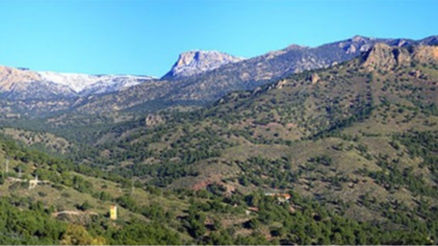 Conociendo Sierra Espuña. Señalización de senderos