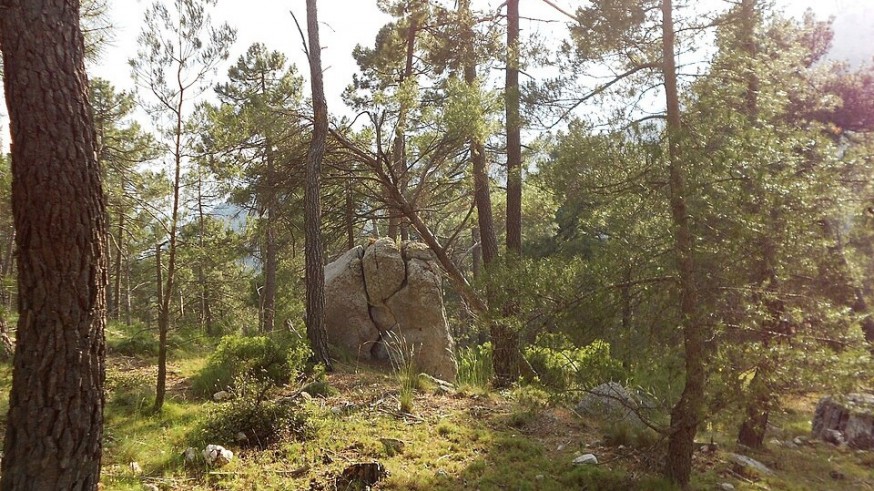 Conociendo Sierra Espuña con Javier Ramírez: Campamentos de verano, sin móviles para los niños