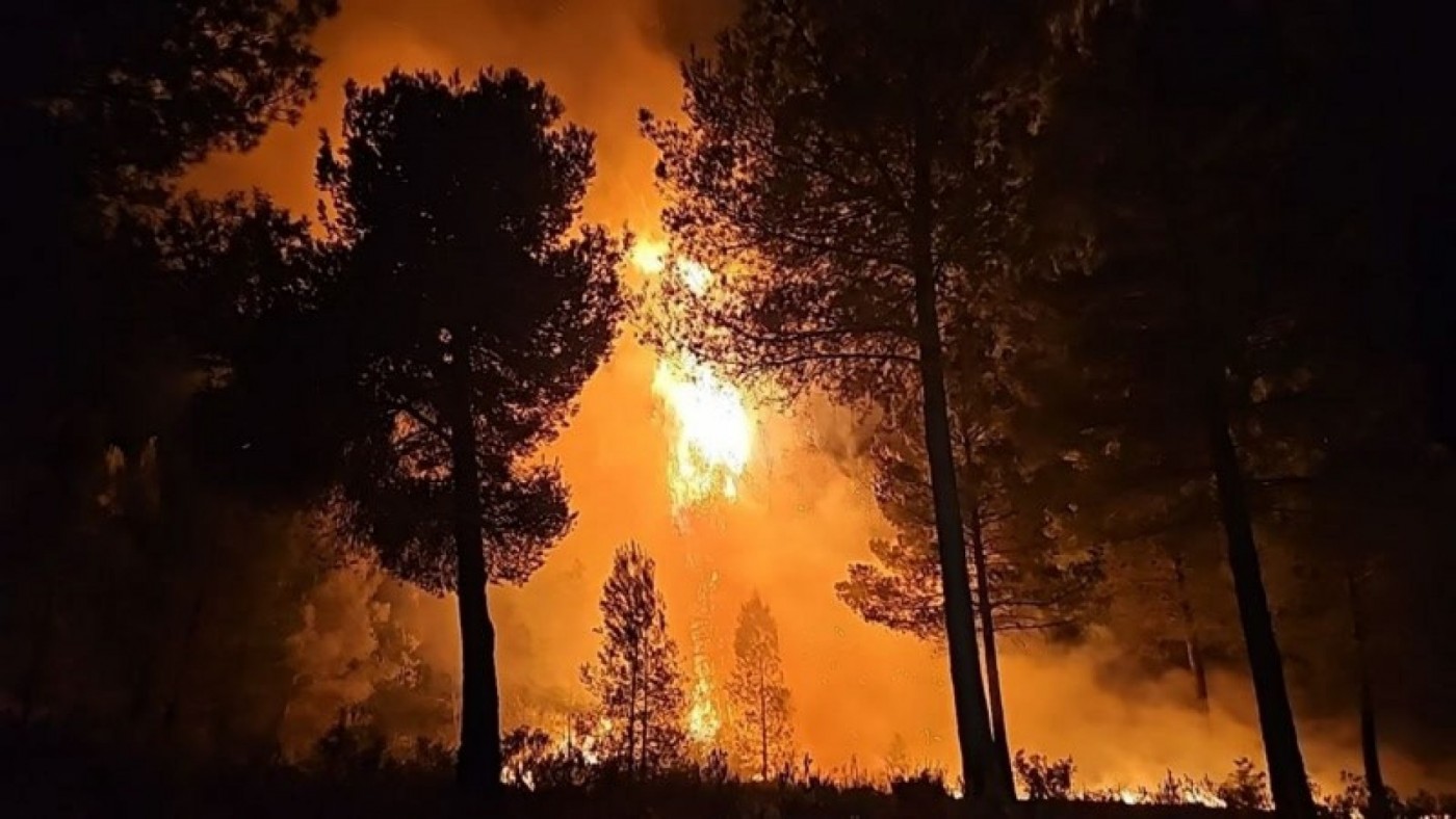 Infomur sofoca 8 conatos de incendios forestales en Cehegín y Blanca, algunos intencionados