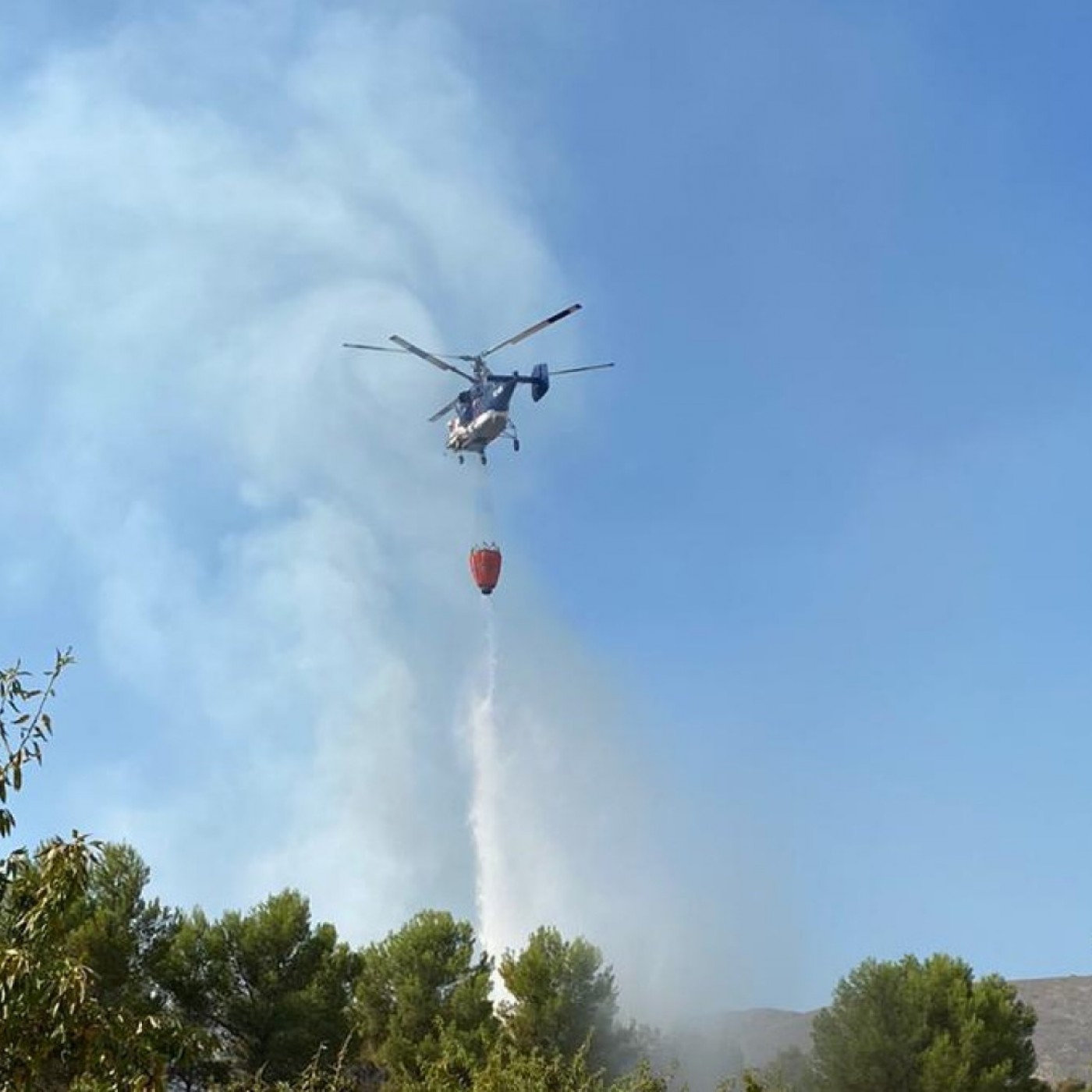 Estabilizado el incendio de Liétor con 2.500 hectáreas de monte arrasadas