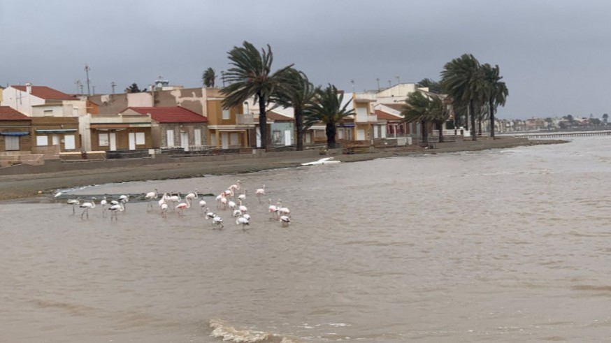 Preocupación por la entrada masiva de agua dulce al Mar Menor tras las lluvias