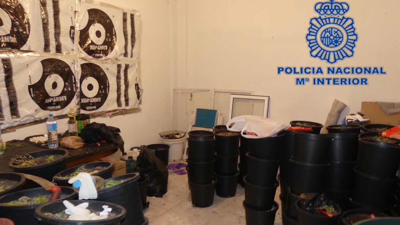 desmantela en Alcantarilla un cultivo 'indoor' de marihuana y se incauta de 14 kilos en cogollos
