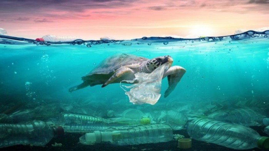 Greenpeace alerta sobre las 5 grandes amenazas de los océanos