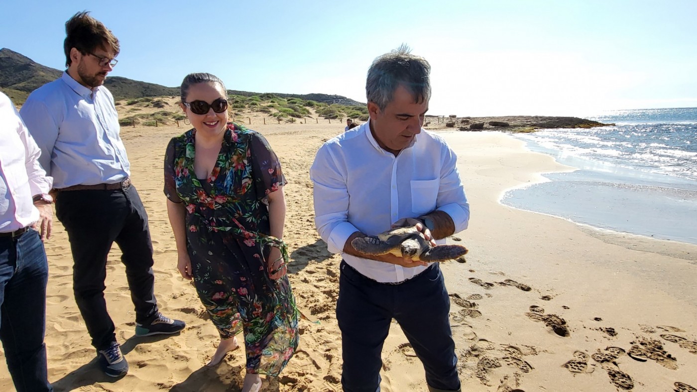 Liberada una tortuga boba en la playa de Calblanque, en Cartagena 