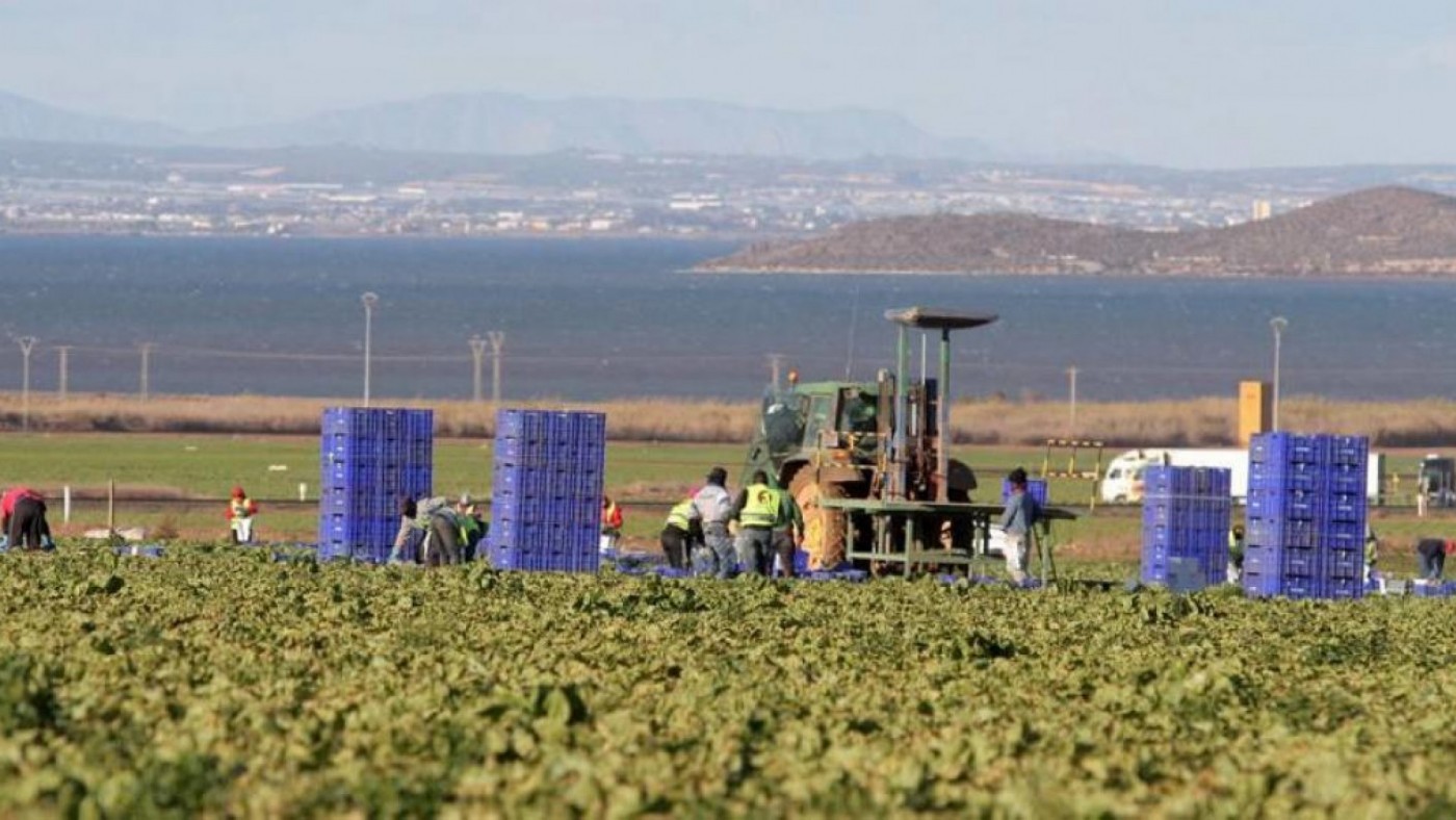 Los sindicatos exigen aplicar la reforma laboral al convenio agrícola, que afecta a 25.000 personas