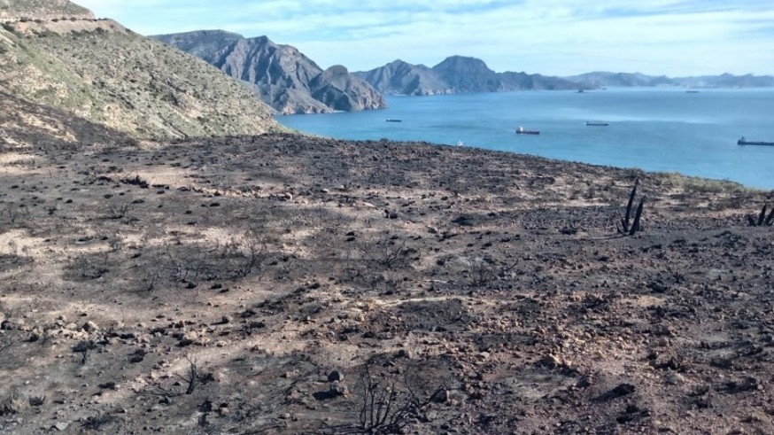 GALERÍA | Las imágenes del incendio de Cabo Tiñoso