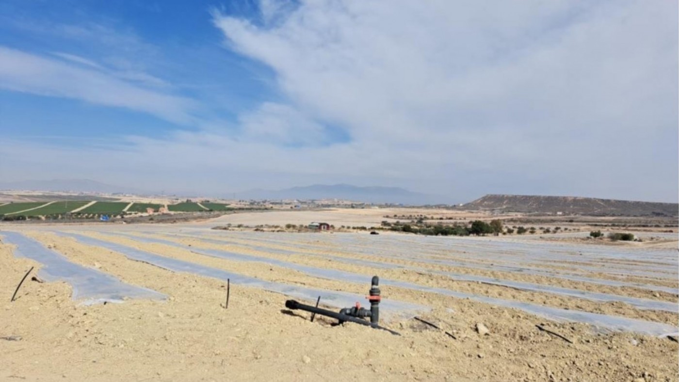 Ecologistas en Acción denuncia 47 hectáreas de regadío ilegal que afectan a especies protegidas en Mazarrón