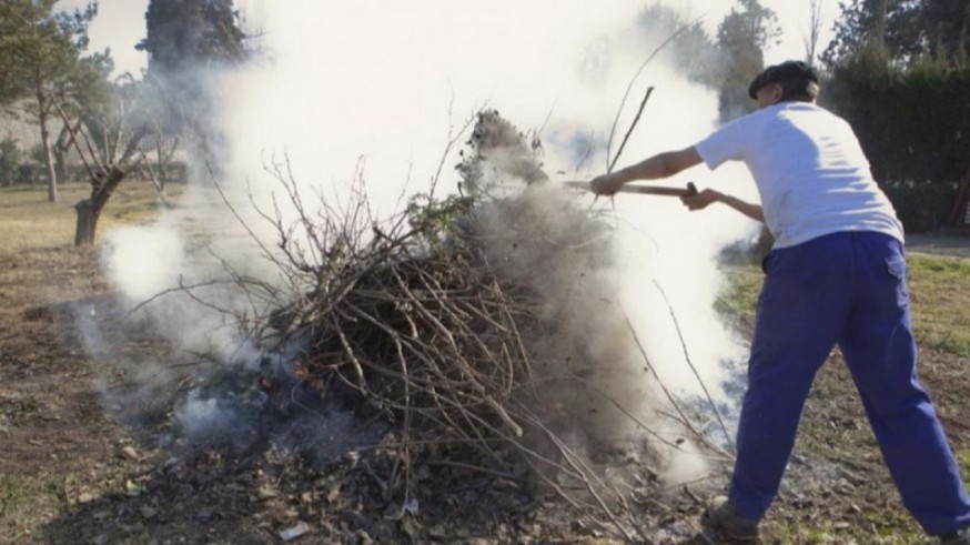 Agricultores de la Vega Alta alertan de la aparición de plagas si no queman sus rastrojos