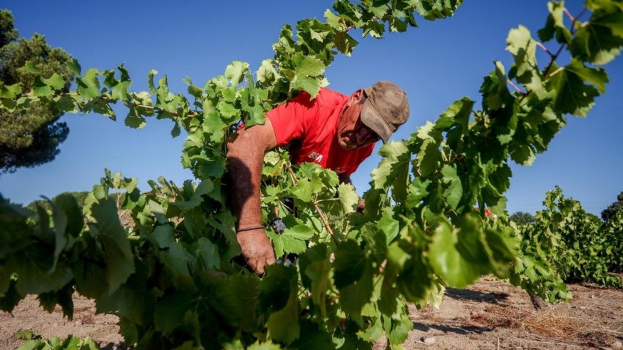 Los agricultores y ganaderos murcianos percibirán 20´9 millones en pagos anticipados de la PAC