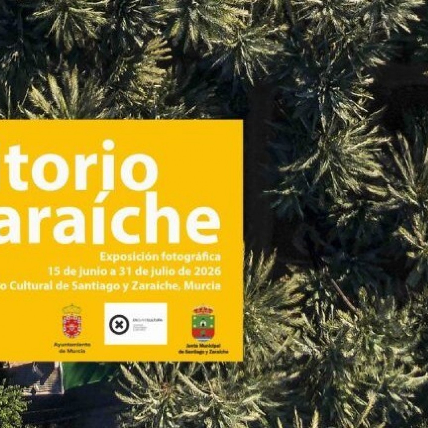 EL MIRADOR T06C198 "Territorio Zaraiche": El alma del palmeral y la tradición de la huerta capturados en una década de investigación (15/06/2026) episode artwork