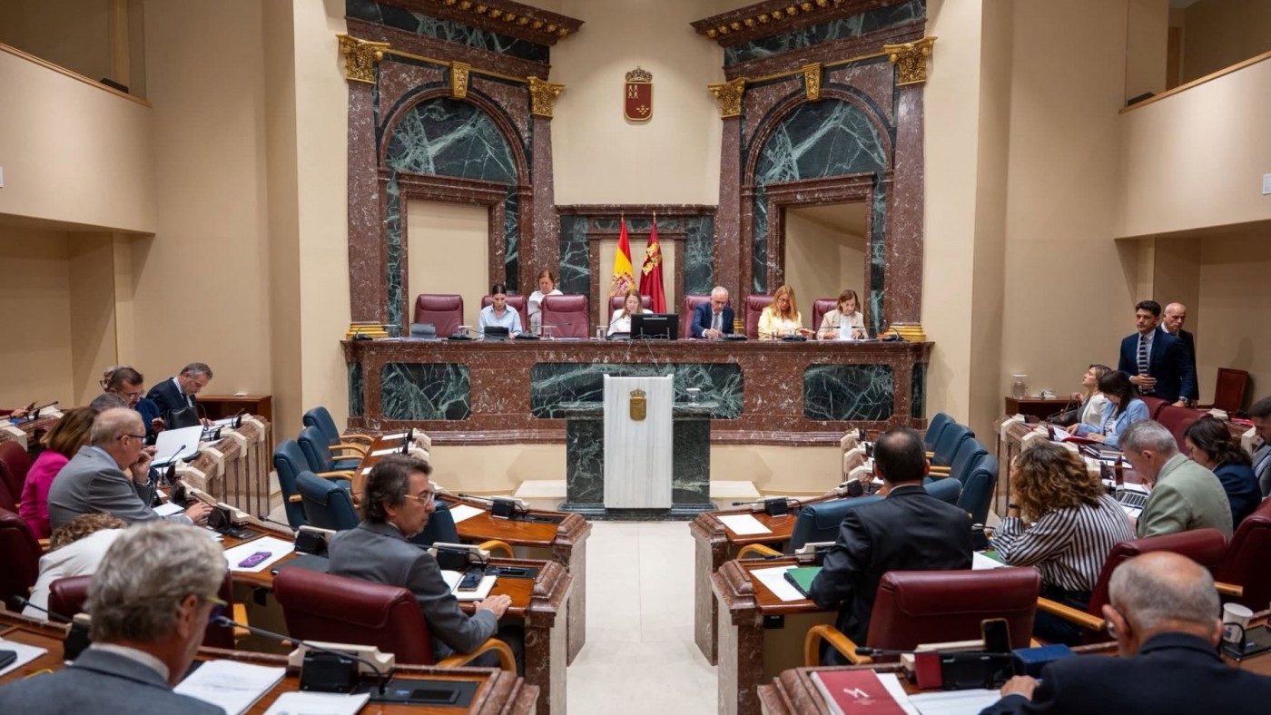 La Asamblea impulsa la equivalencia entre dependencia y discapacidad