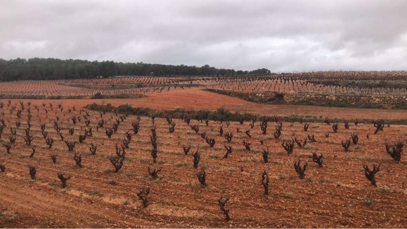 COAG espera un otoño con lluvias como las de este jueves