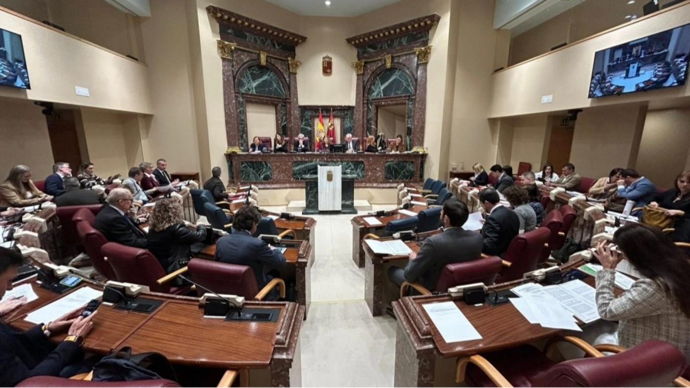 El grupo socialista pide medidas urgentes contra la obesidad infantil