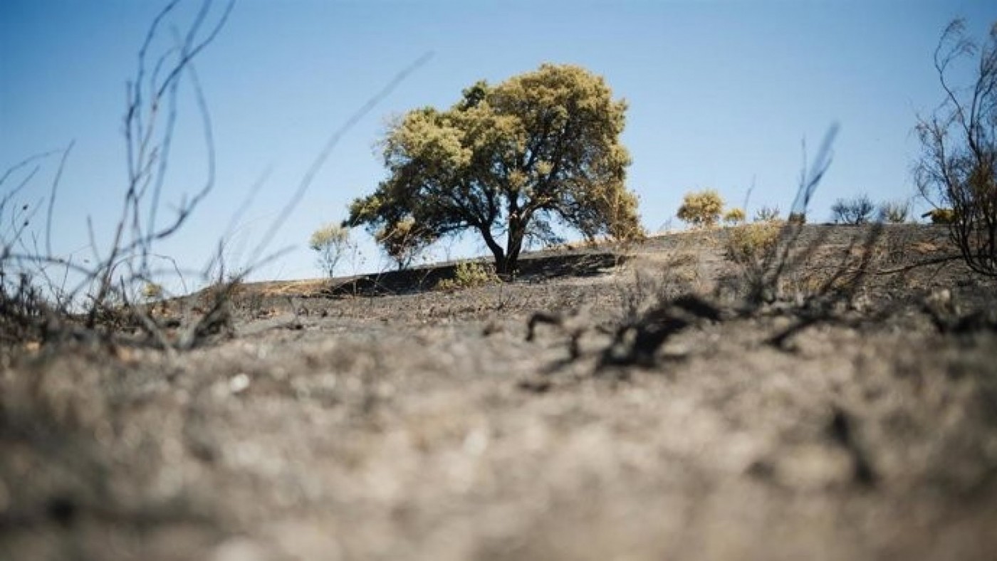 Evitar que los fumadores en espacios naturales se conviertan en "pirómanos accidentales" 