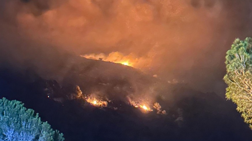 El incendio en la Sierra de Altaona arrasó 7,5 hectáreas de terreno forestal