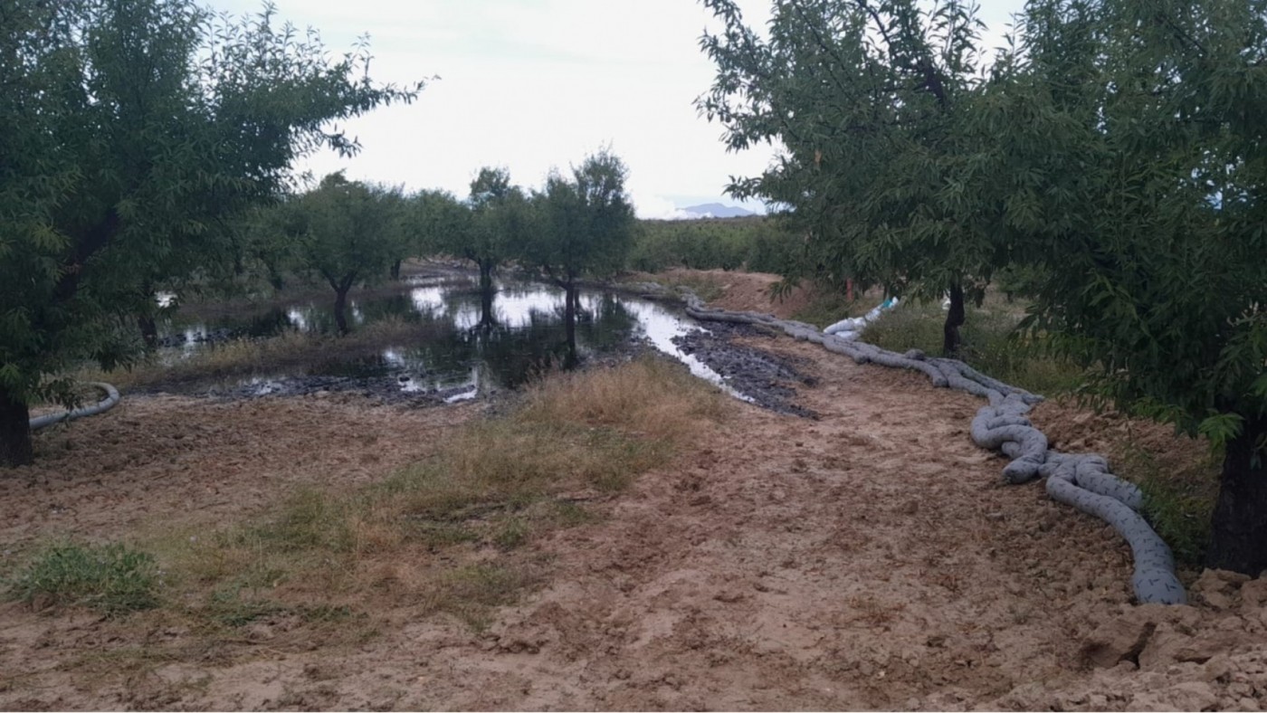 El tiempo corre: expertos urgen a retirar el suelo contaminado en Calasparra para evitar daños irreversibles