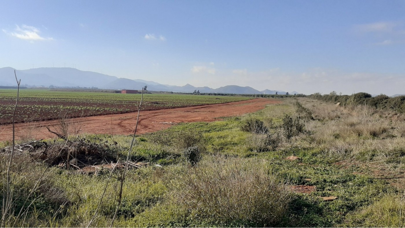 El Gobierno regional establecerá un corredor ecológico alrededor del Mar Menor