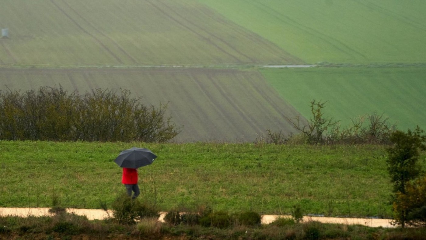 Las lluvias revitalizan el campo murciano tras semanas de sequía