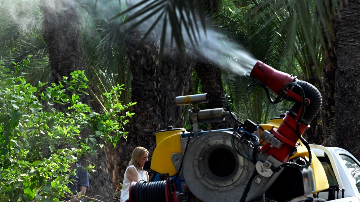 Murcia pide colaboración ciudadana para evitar los focos del mosquito tigre